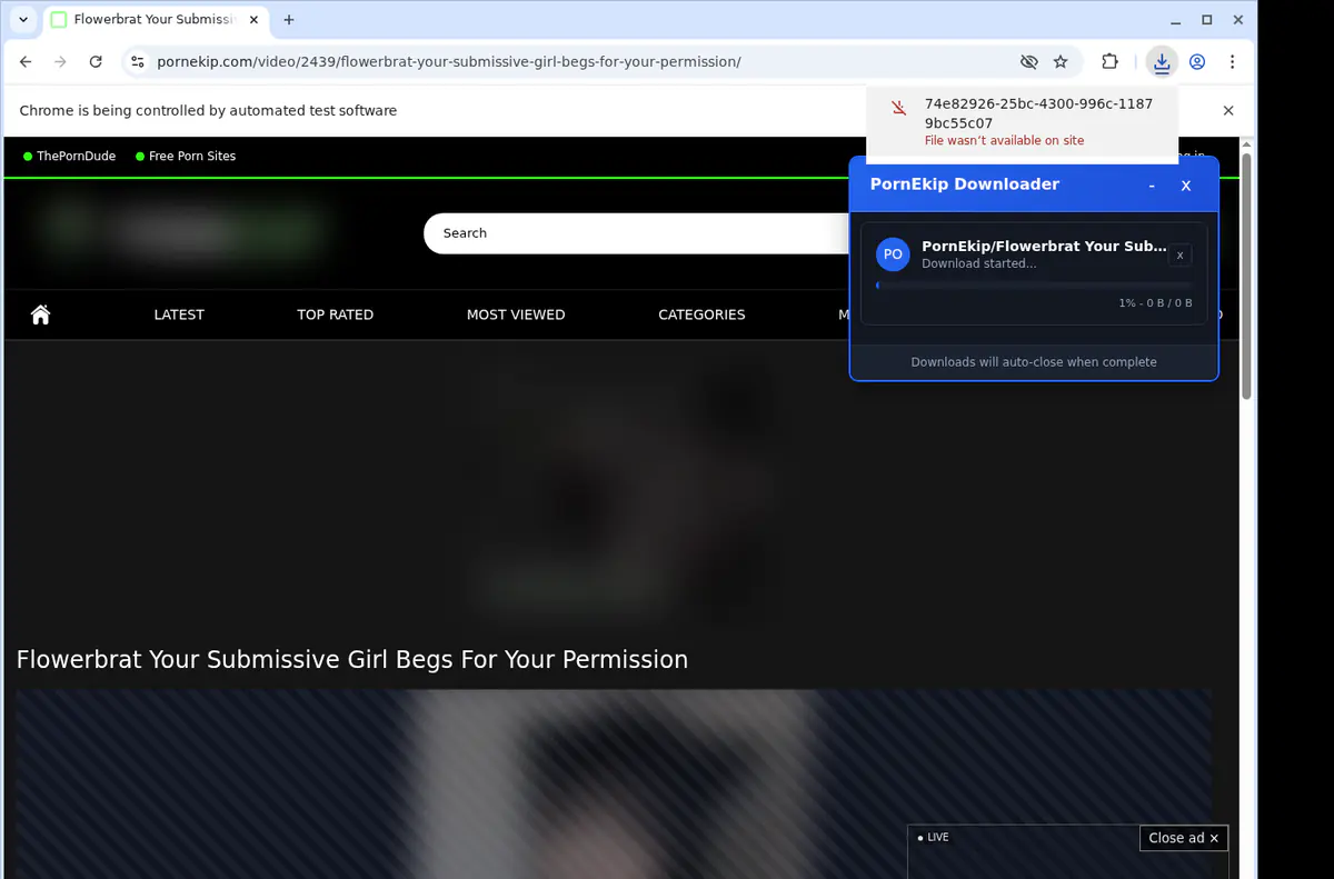 Pornekip Video Downloader browser extension screenshot 2