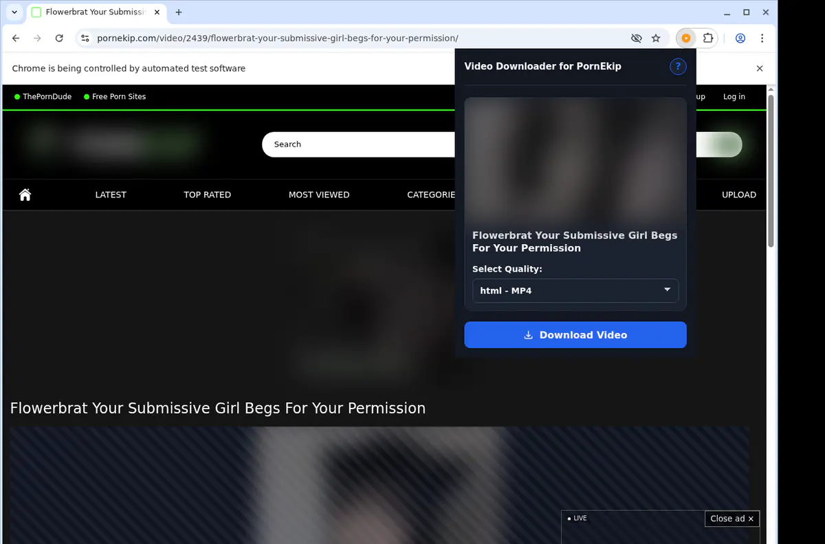Pornekip Video Downloader browser extension screenshot 3