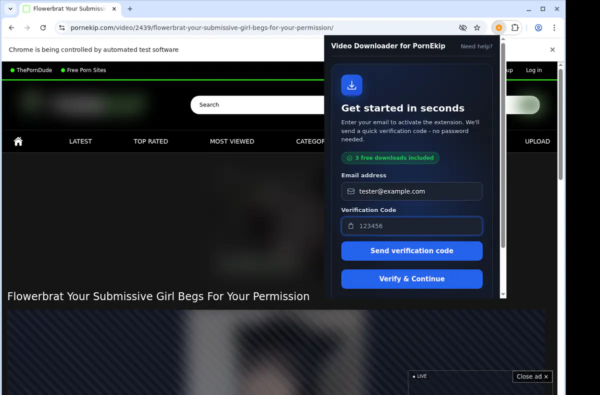Pornekip Video Downloader browser extension screenshot 4