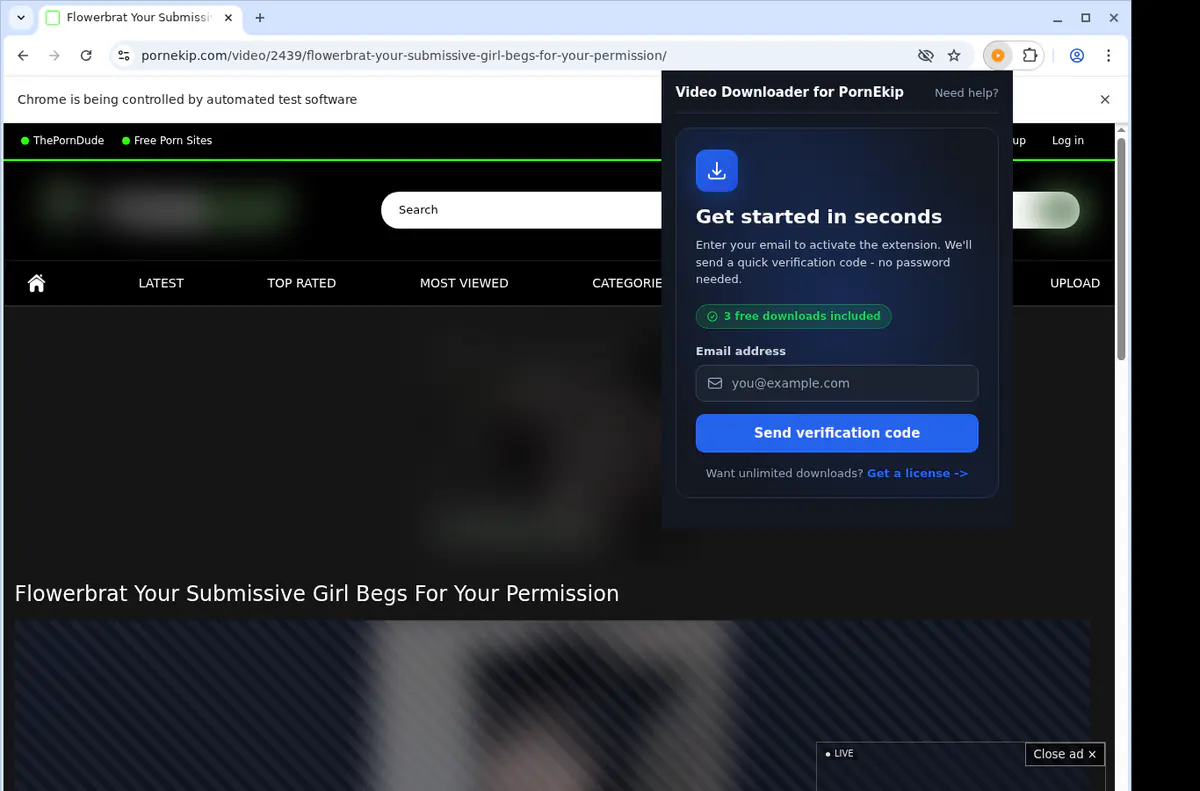 Pornekip Video Downloader browser extension screenshot 5